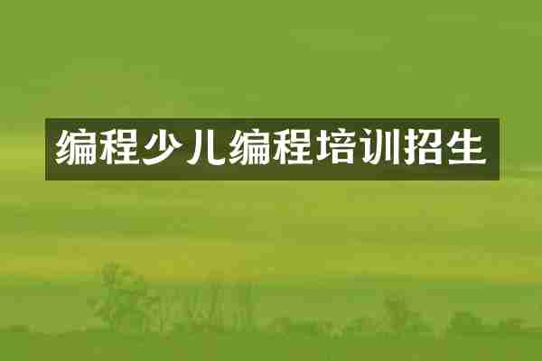 编程少儿编程培训招生