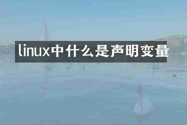linux中什么是声明变量