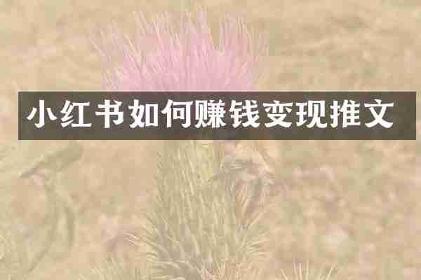 小红书如何赚钱变现推文