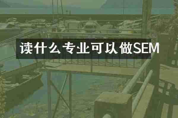 读什么专业可以做SEM