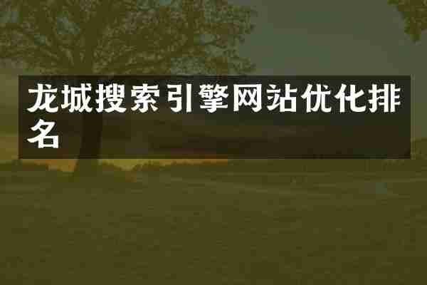 龙城搜索引擎网站优化排名