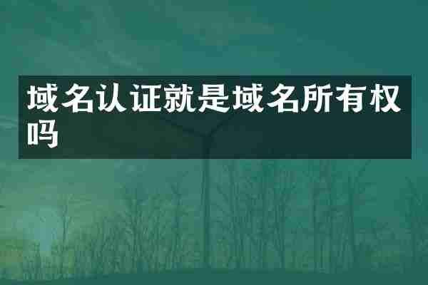 域名认证就是域名所有权吗