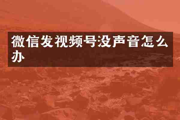 微信发视频号没声音怎么办