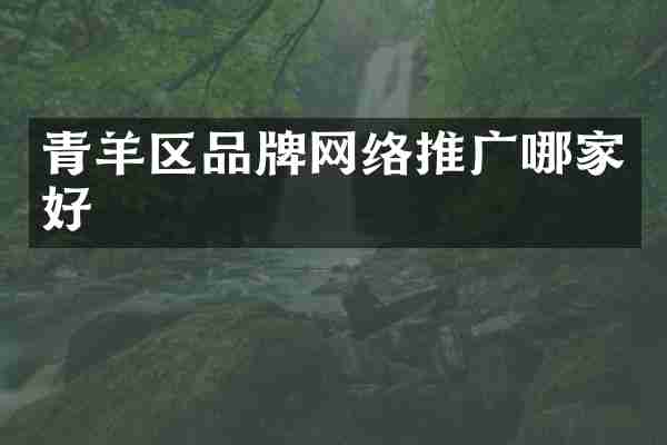 青羊区品牌网络推广哪家好