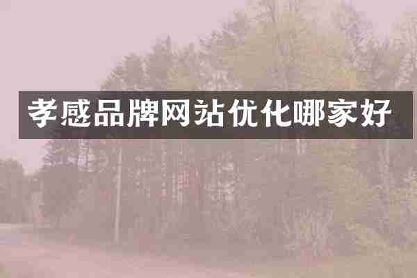 孝感品牌网站优化哪家好