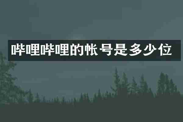 哔哩哔哩的帐号是多少位