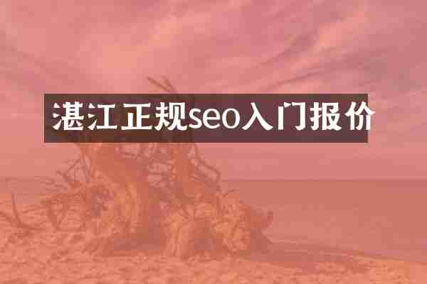 湛江正规seo入门报价