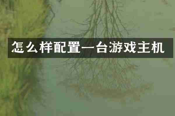 怎么样配置一台游戏主机