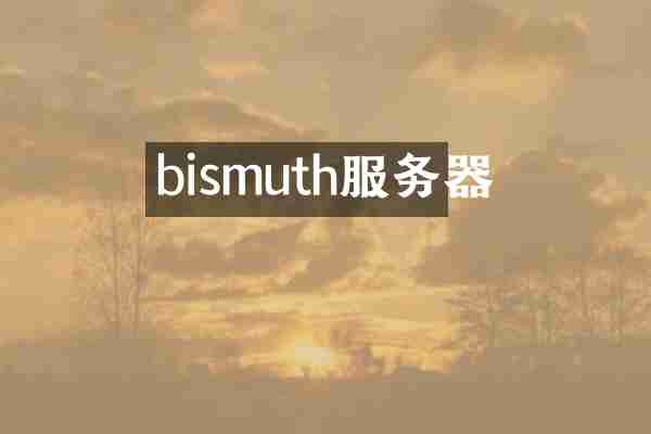 bismuth服务器