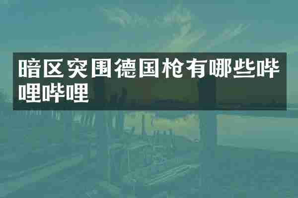 暗区突围德国枪有哪些哔哩哔哩