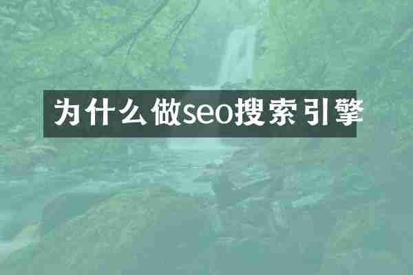 为什么做seo搜索引擎