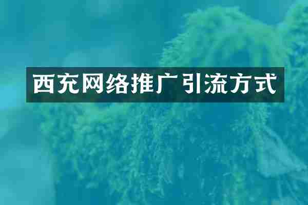西充网络推广引流方式