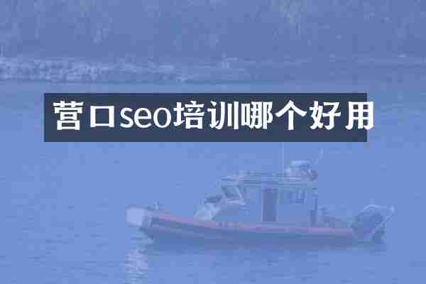 营口seo培训哪个好用