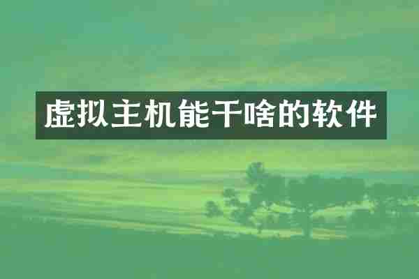 虚拟主机能干啥的软件