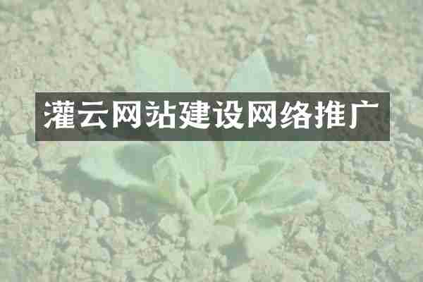 灌云网站建设网络推广
