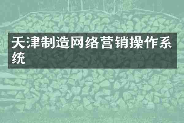 天津制造网络营销操作系统