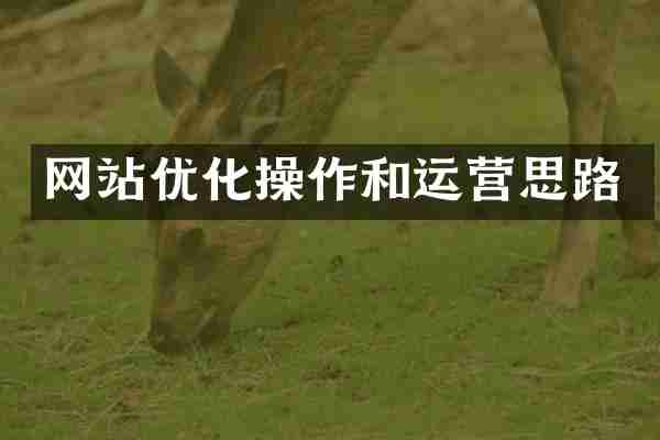 网站优化操作和运营思路