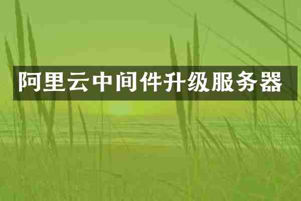 阿里云中间件升级服务器