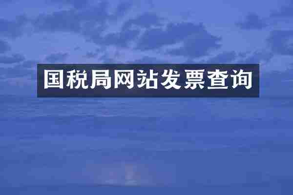国税局网站发票查询