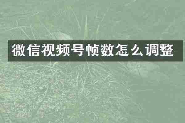 微信视频号帧数怎么调整
