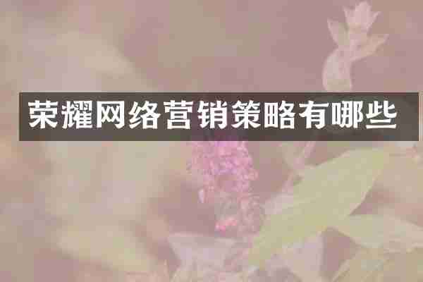 荣耀网络营销策略有哪些