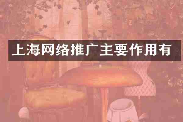 上海网络推广主要作用有