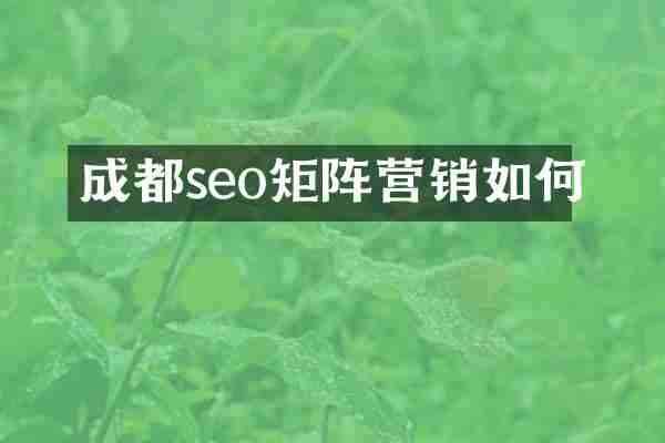 成都seo矩阵营销如何