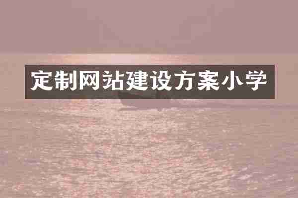 定制网站建设方案小学