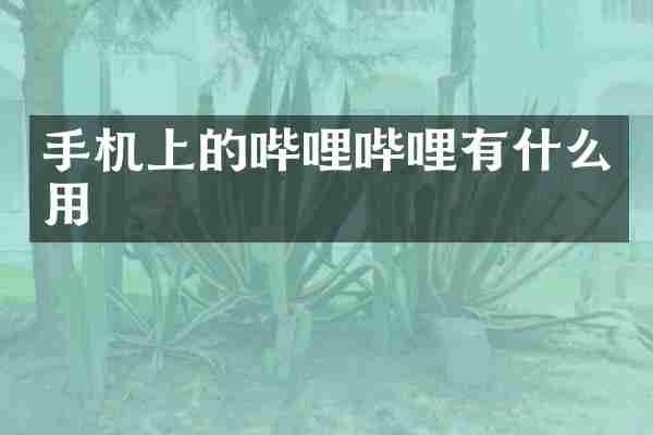 手机上的哔哩哔哩有什么用