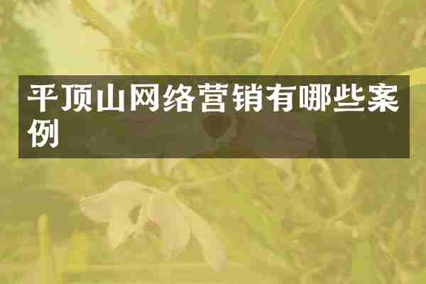 平顶山网络营销有哪些案例