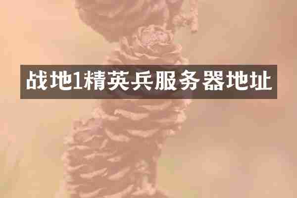 战地1精英兵服务器地址