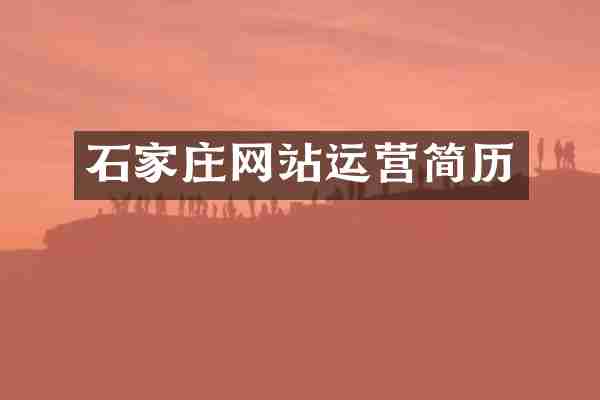 石家庄网站运营简历