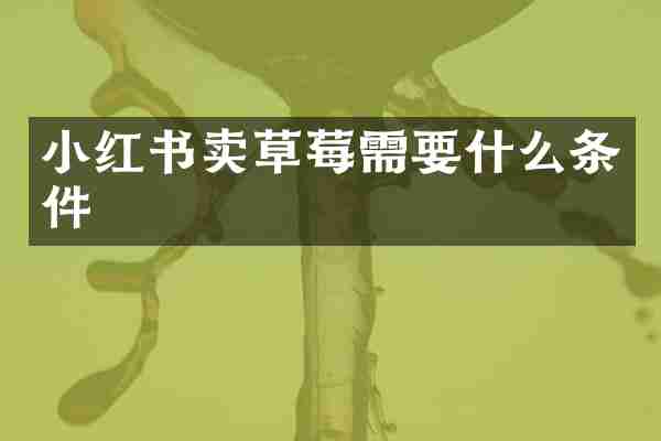 小红书卖草莓需要什么条件