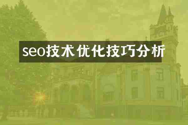 seo技术优化技巧分析