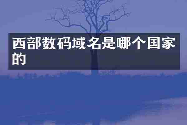 西部数码域名是哪个国家的
