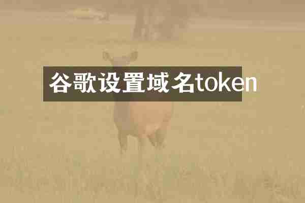 谷歌设置域名token