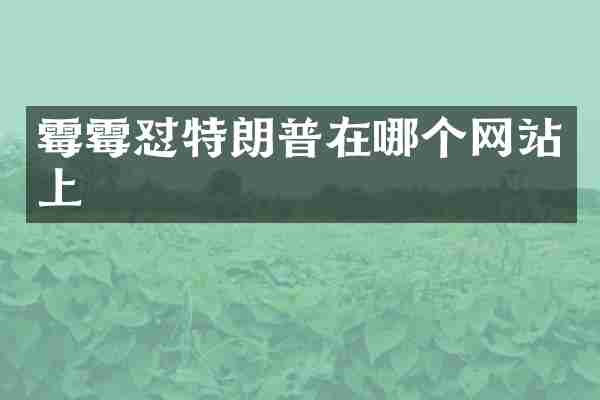 霉霉怼特朗普在哪个网站上