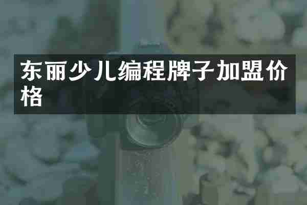东丽少儿编程牌子加盟价格