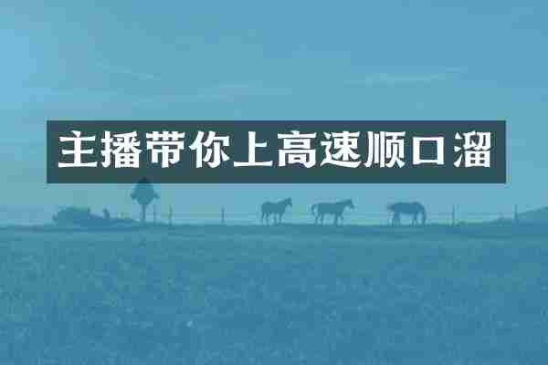 主播带你上高速顺口溜