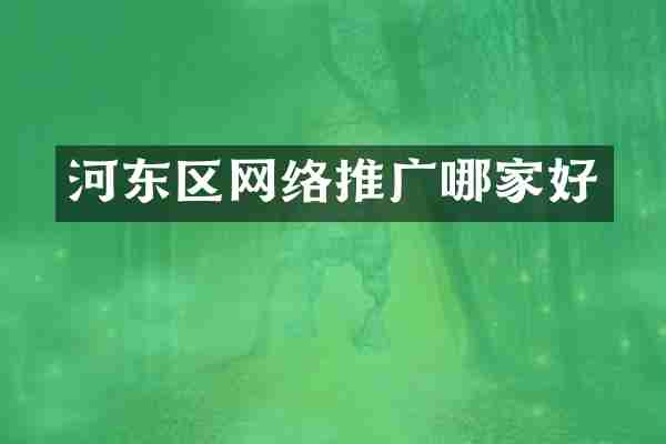 河东区网络推广哪家好