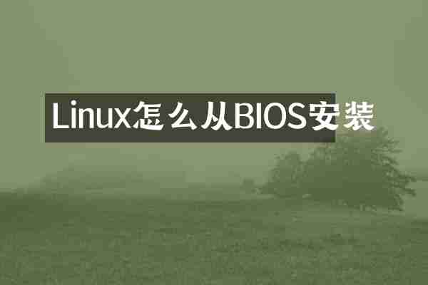 Linux怎么从BIOS安装