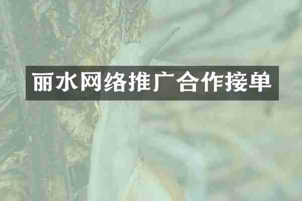 丽水网络推广合作接单