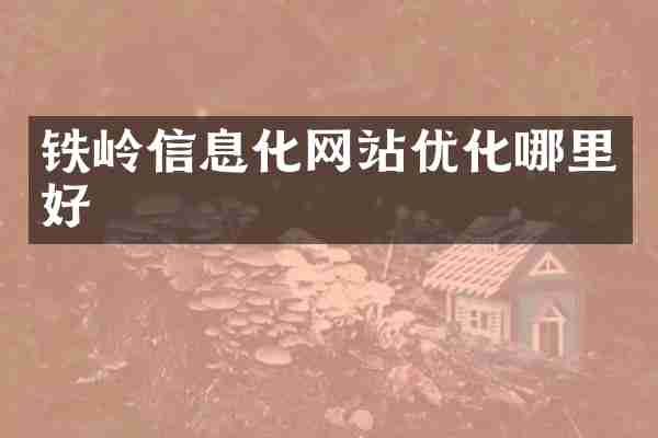铁岭信息化网站优化哪里好