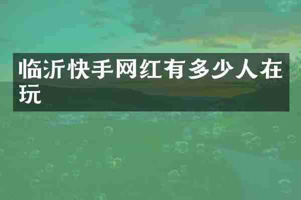 临沂快手网红有多少人在玩