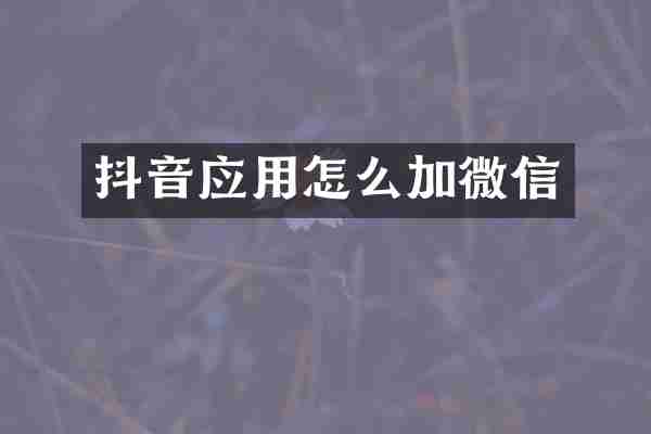 抖音应用怎么加微信