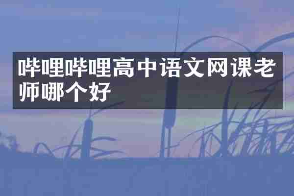 哔哩哔哩高中语文网课老师哪个好