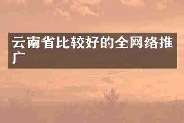 云南省比较好的全网络推广