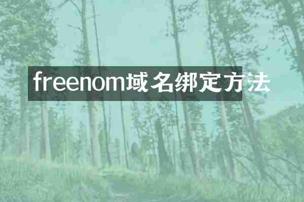freenom域名绑定方法