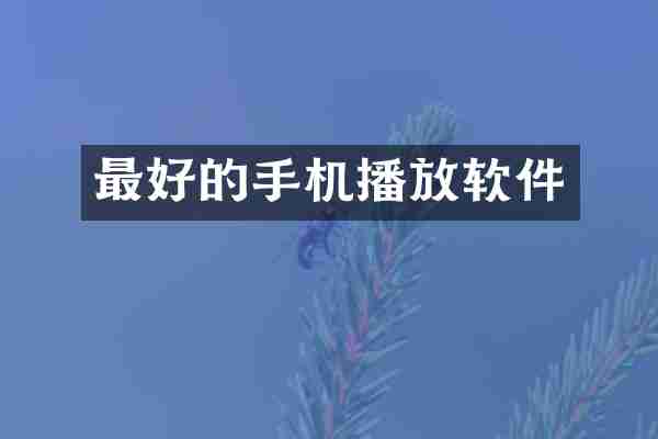 最好的手机播放软件