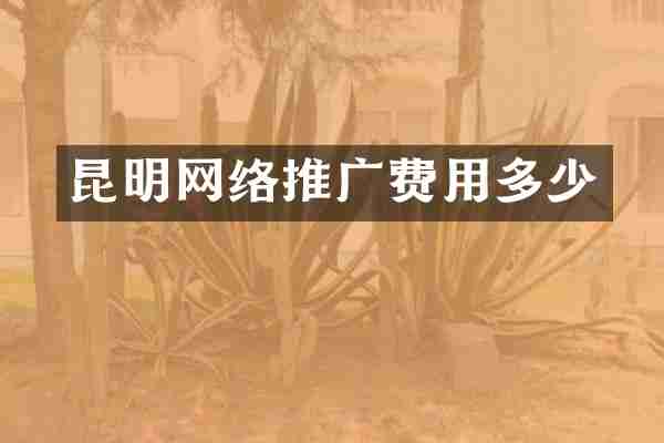 昆明网络推广费用多少